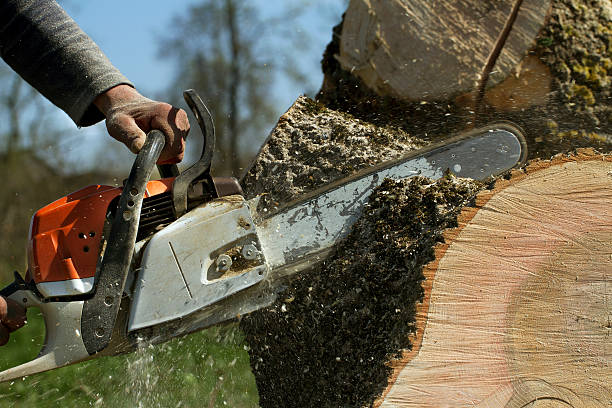 Mulching Services in Davidson, NC